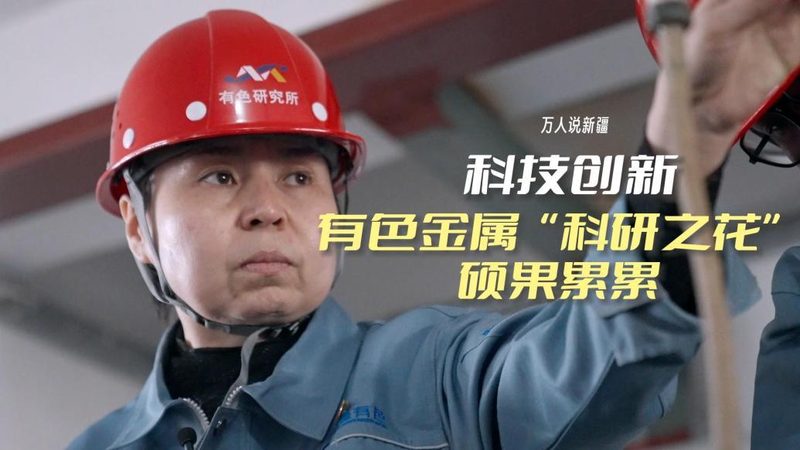 报价单里藏着的可视化工具定价逻辑
